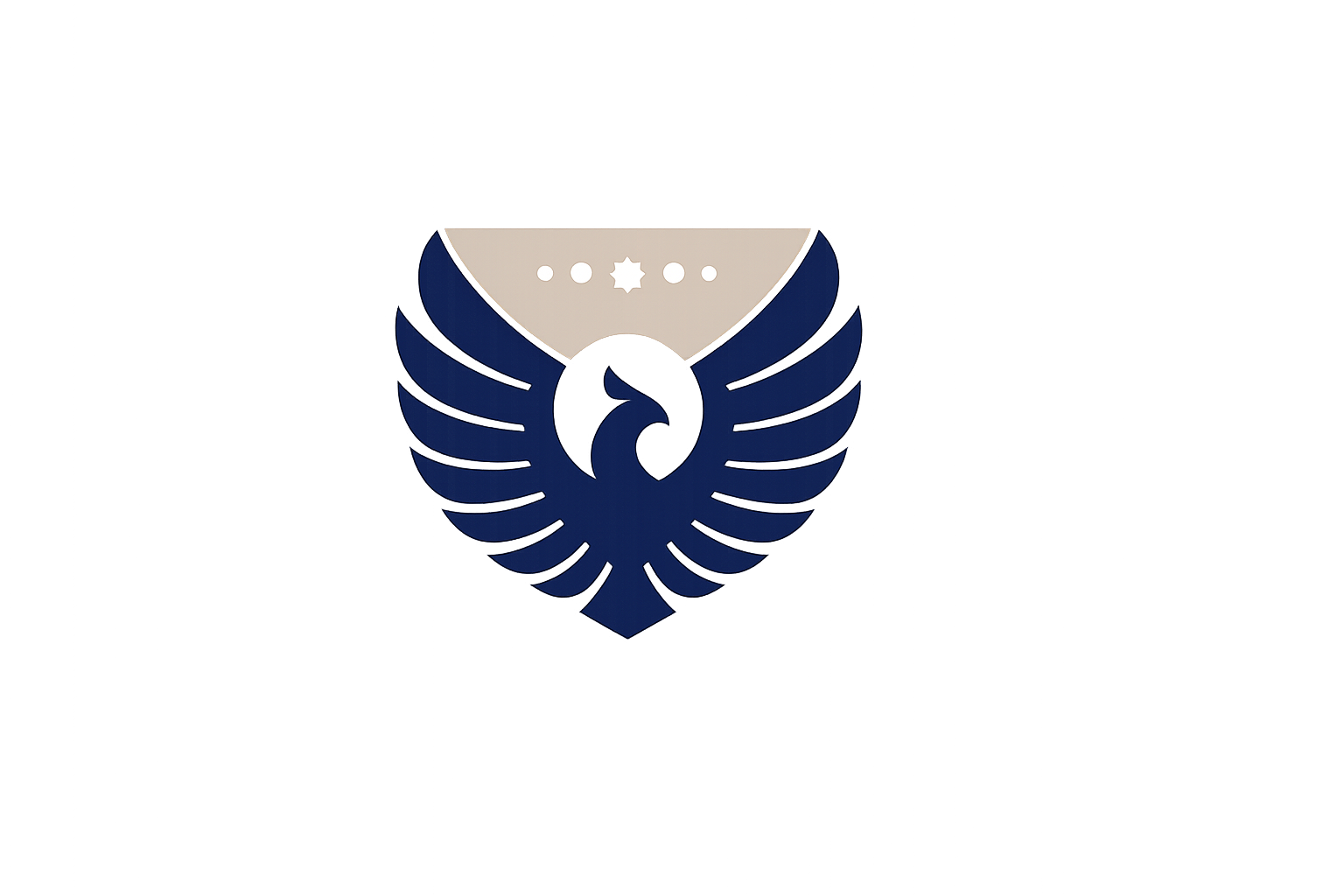 solution icon
