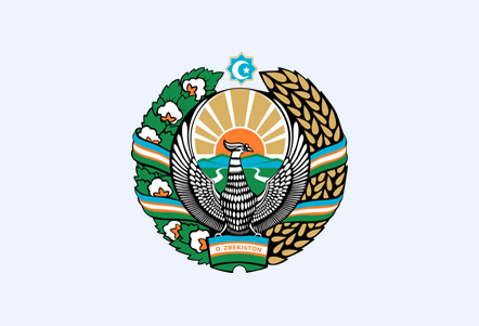 solution icon